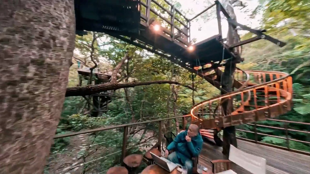 Treeful Treehouse - Japan im Baumhaus erleben