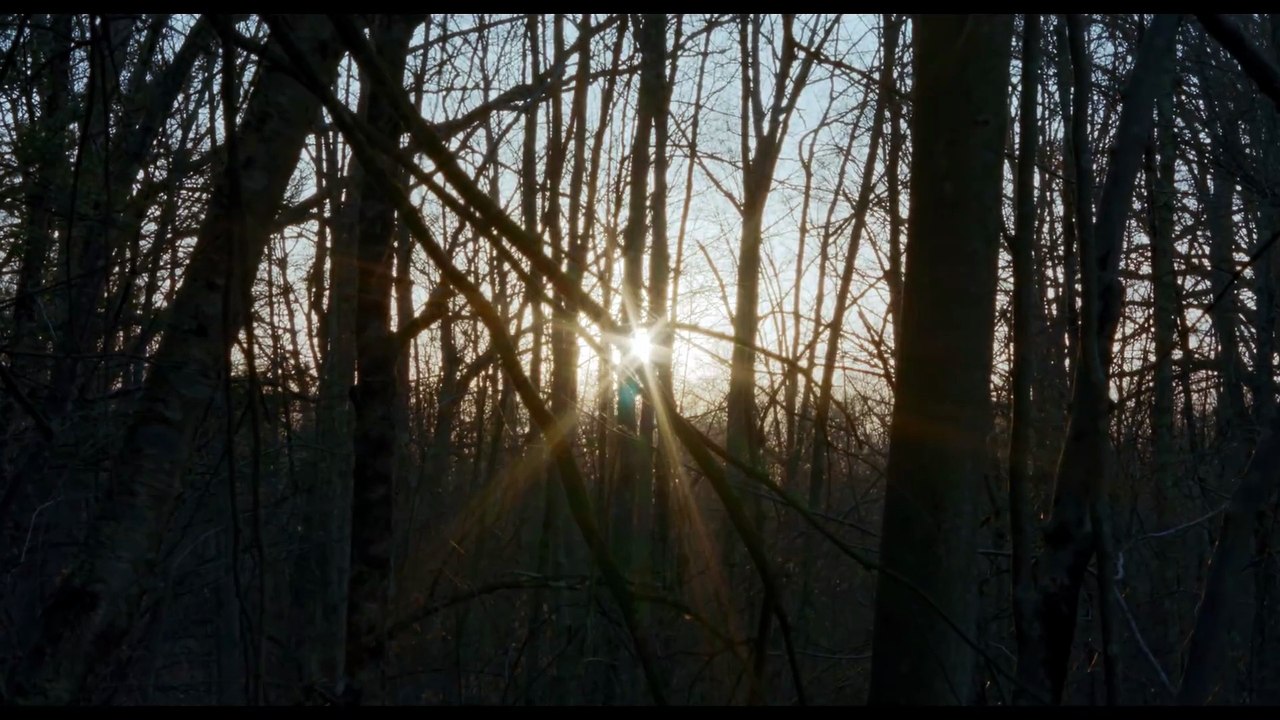 The History of Sound (2025)