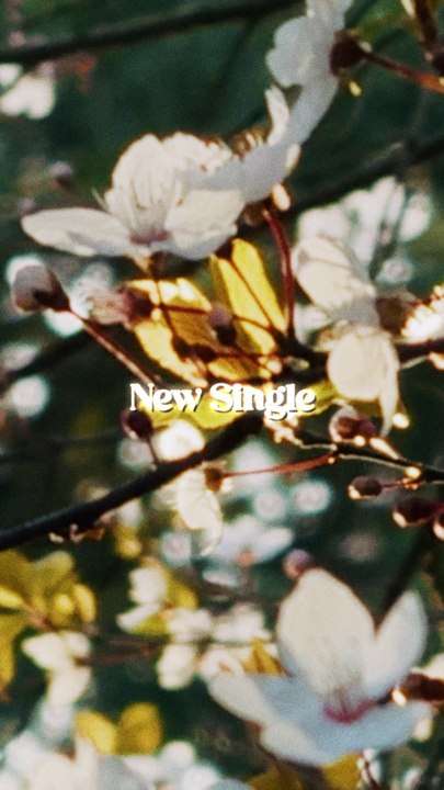 Nouveau single « Spring » le 20 Mars ! 🍃☀️