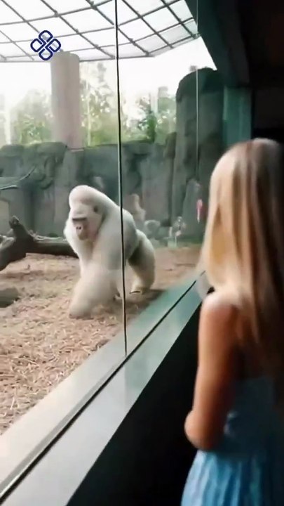 Too funny! You have to see this hilarious moment!