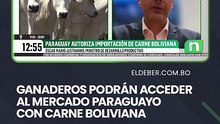 Ganaderos podrán acceder al mercado paraguayo con carne boliviana