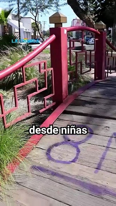 “La pintura se puede limpiar, respeto totalmente el grito de las mujeres”: alcaldesa de Mexicali