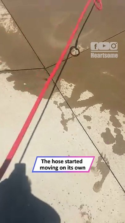 Possessed Pressure Washer?! Hose Goes Wild on Camera 😱😂|| Heartsome 💖