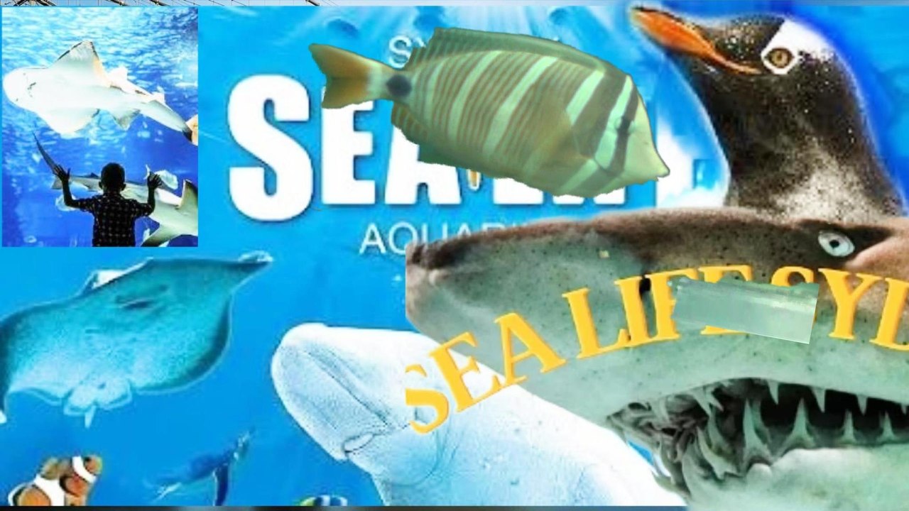 Sealife, Darling Harbour. Sydney LNY 2026, Part...