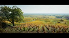 Ritorno in Borgogna - Trailer