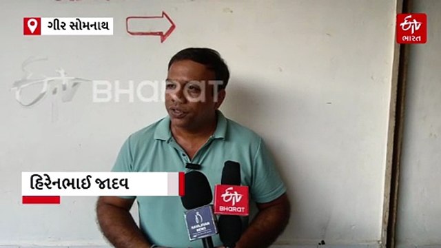 ગીર સોમનાથ: શાણાવાંકિયા ગામે 7 વર્ષની બાળકી પર સિંહણે કર્યો હુમલો, માતાએ પથ્થર મારીને દીકરીને બચાવી