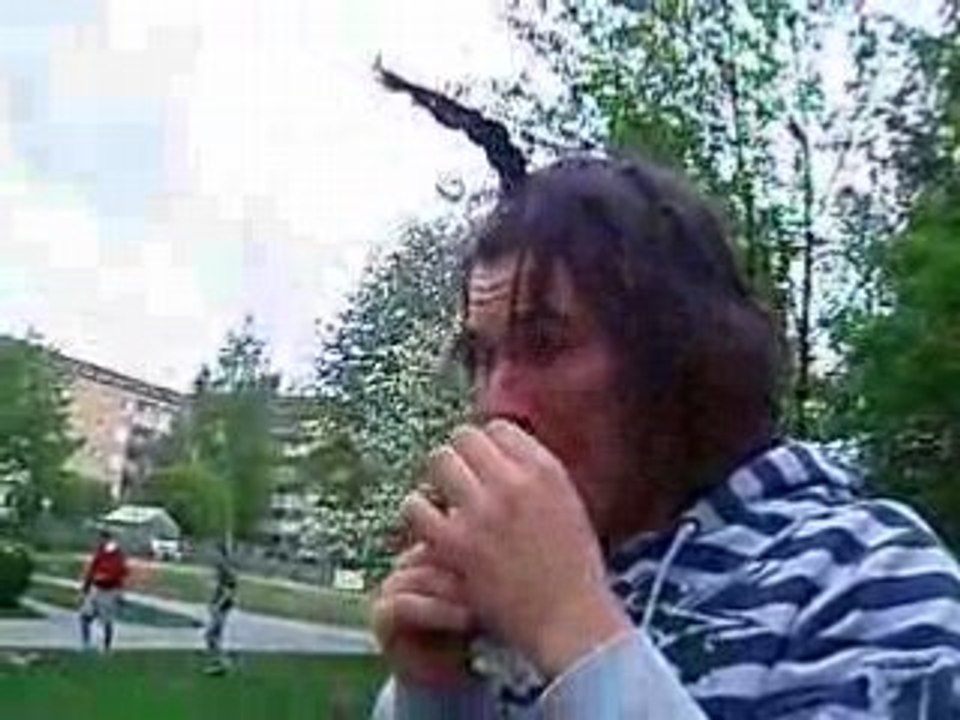 P1010071