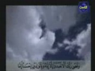 بر الوالدين