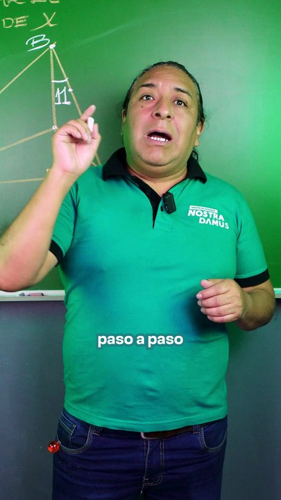 Ciclo Semianual UNI