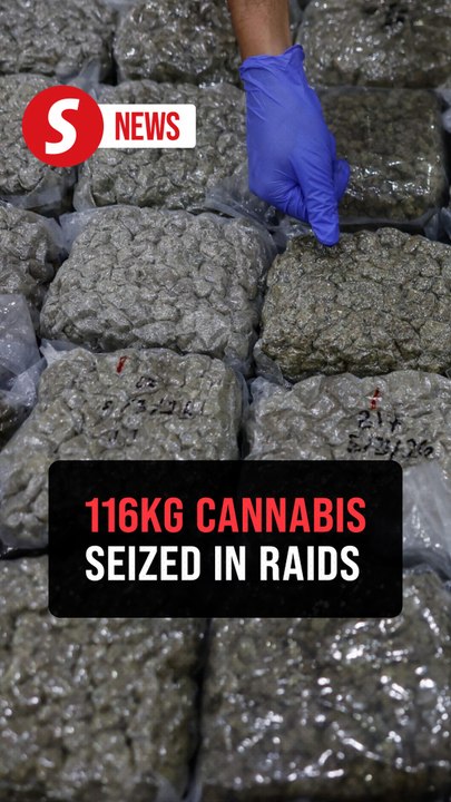 International drug syndicate busted with four arrested, RM9.35mil cannabis seized