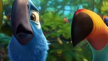 Rio 2 (2014) follows domesticated blue macaws Blu and Jewel, who leave their comfortable Rio de