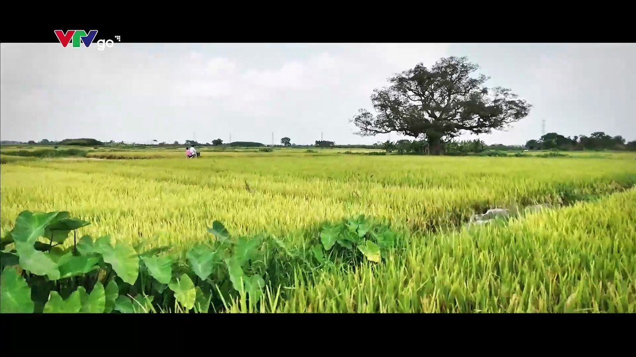 ĐỒNG HỒ ĐẾM NGƯỢC - TẬP 9