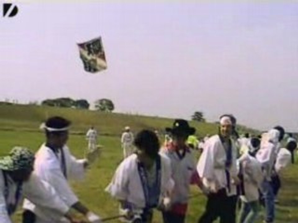 Giant Kite