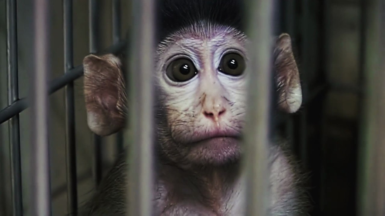 Future Science - Trailer (Deutsch) HD