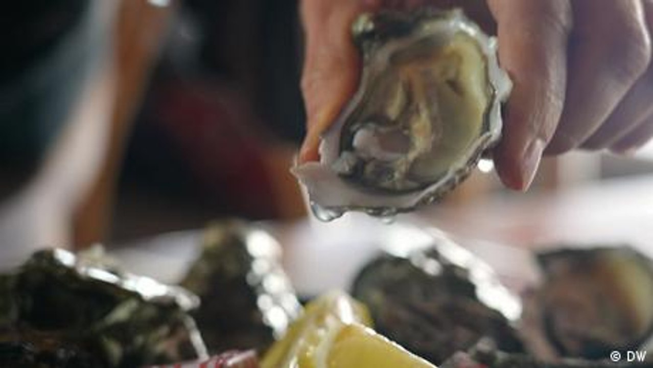 Wie isst man eigentlich Austern und wo wachsen sie?
