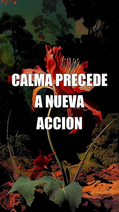 ¿Que muros interiores derribaras hoy #Piedra #estoicismo #filosofiaestoica