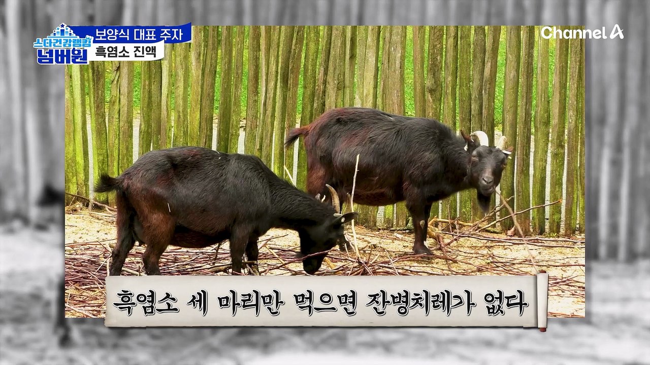 체온을 유지하고, 혈당과 면역력을 한꺼번에 잡는 '흑염소 진액'