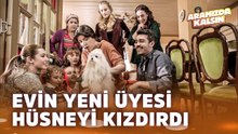 Aileye Yeni Bir Üye Katıldı | Aramızda Kalsın En İyi Sahneler