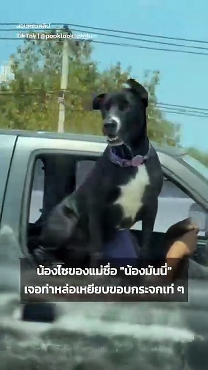 เมื่อน้องไซของแม่ เจอท่าผู้บ่าวเกาะขอบกระจกสุดเท่
