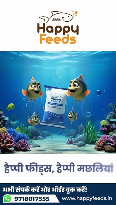 Best Floating Fish Feed Manufacturer in India | Happy Feeds