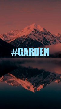 What seeds are you sowing today #garden #MindsetMastery #GrowthMindset