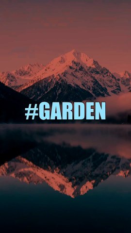 What seeds are you sowing today #garden #MindsetMastery #GrowthMindset