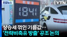 상승세 꺾인 기름값...'전략비축유 방출' 국제공조 논의 / YTN