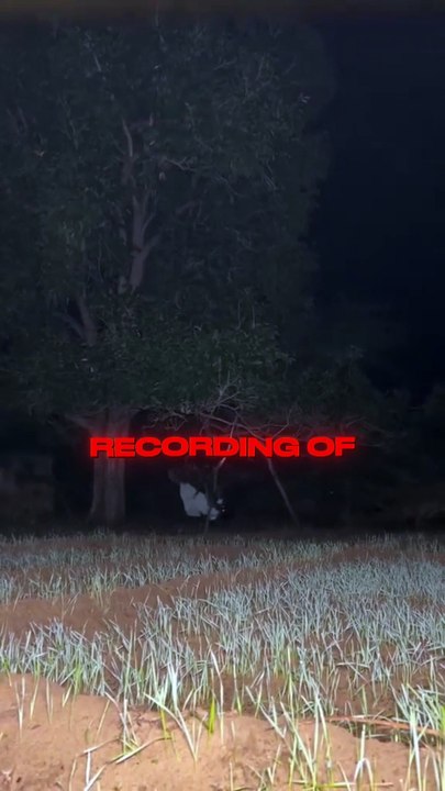 They Found My Voice Backwards Recording… And It Told Me What Would Happen Next