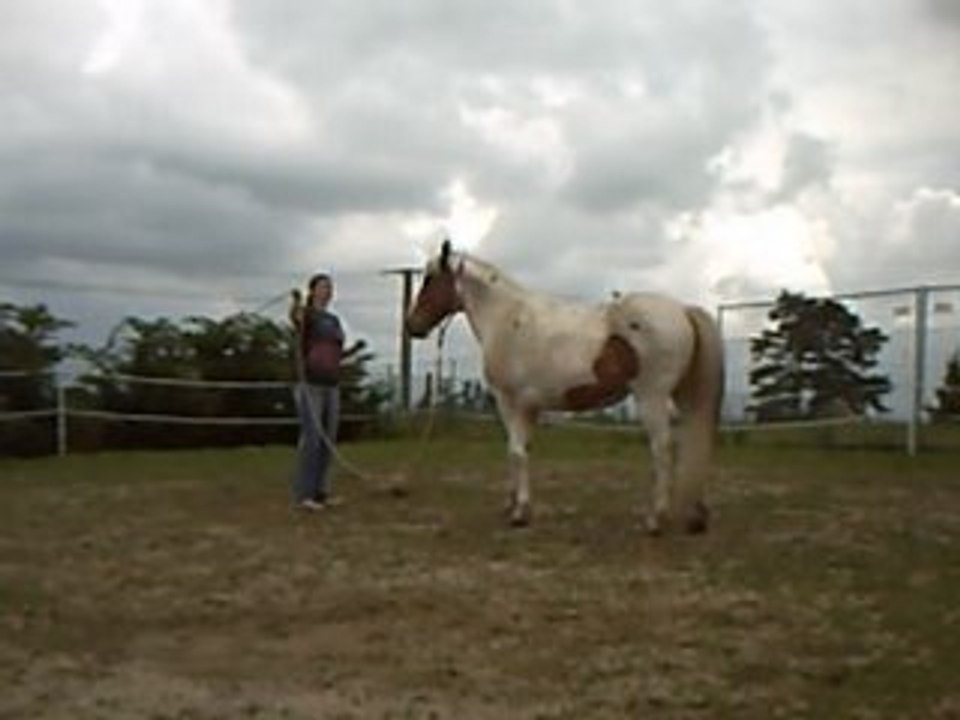 Jeux du yoyo