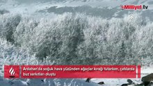 Türkiye'de kışın bitmediği yer: Hava sıcaklığı sıfırın altında 24,5 derece