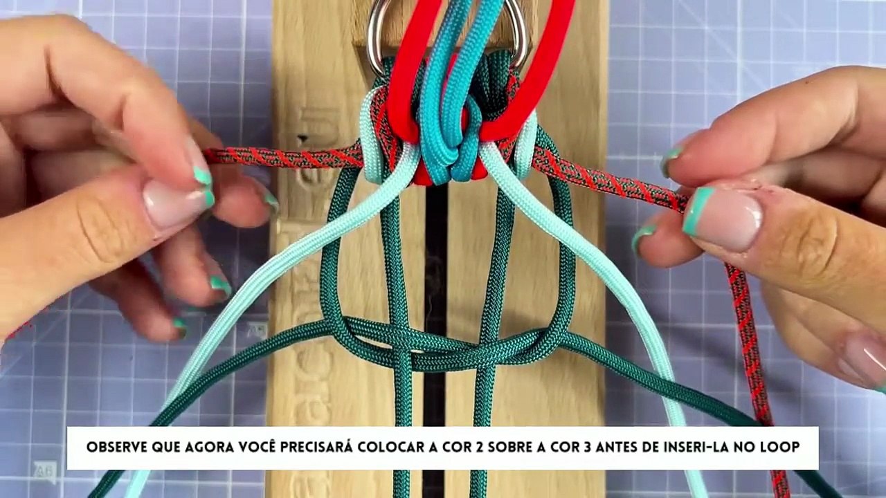 Aula complementar COLEIRA 03
