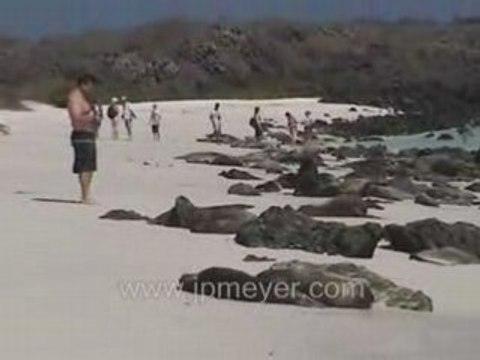 Galapagos Islands travel: Sea lions, iguanas and children