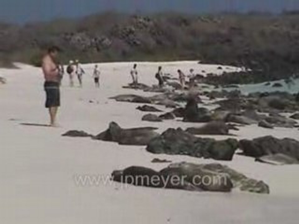 Galapagos Islands travel: Sea lions, iguanas and children