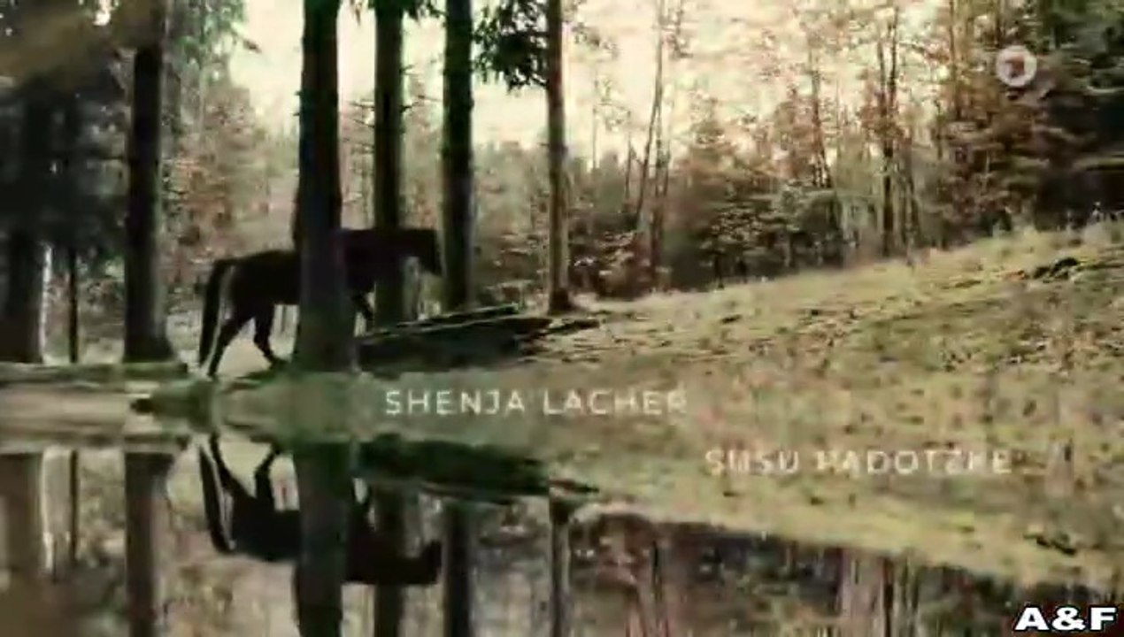 Reiterhof Wildenstein -03- Neuanfang