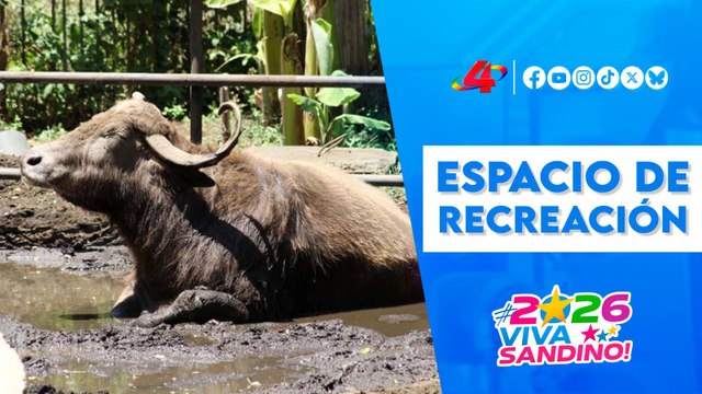🦁 Parque Zoológico Nacional de Nicaragua: educación ambiental y convivencia