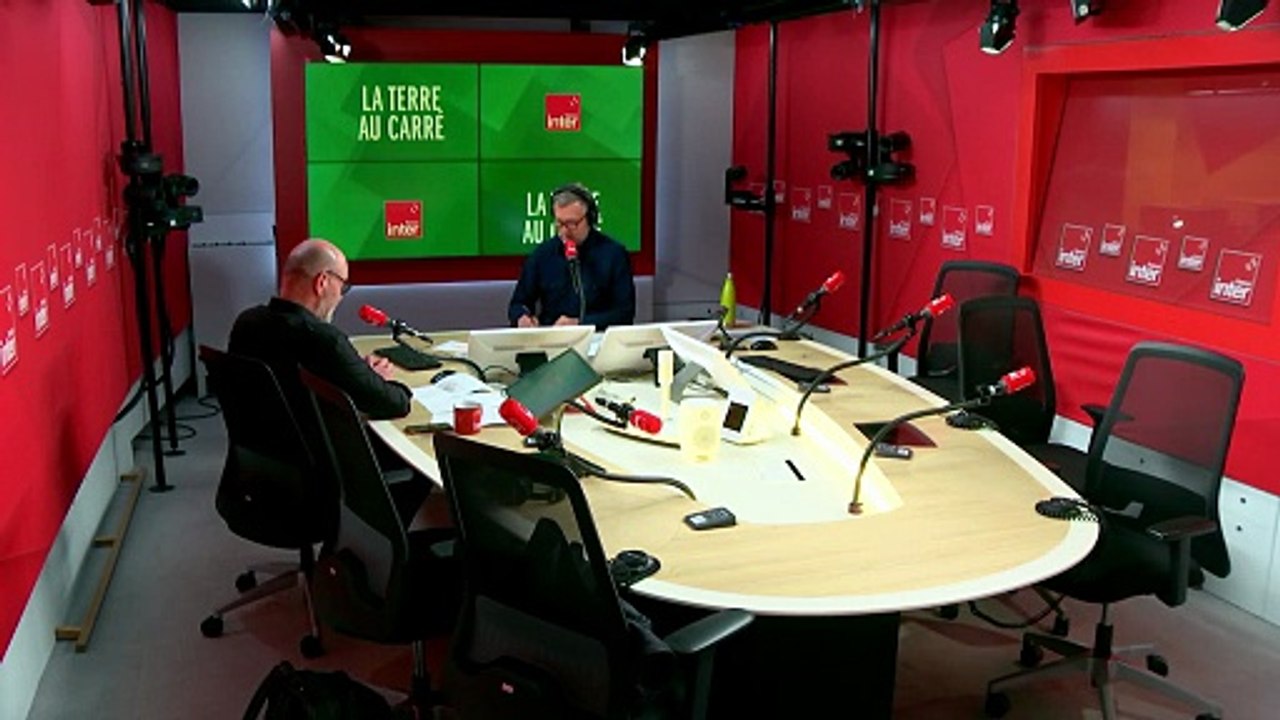 Sous le goudron, la révolution végétale des cours d'école - La terre au carré