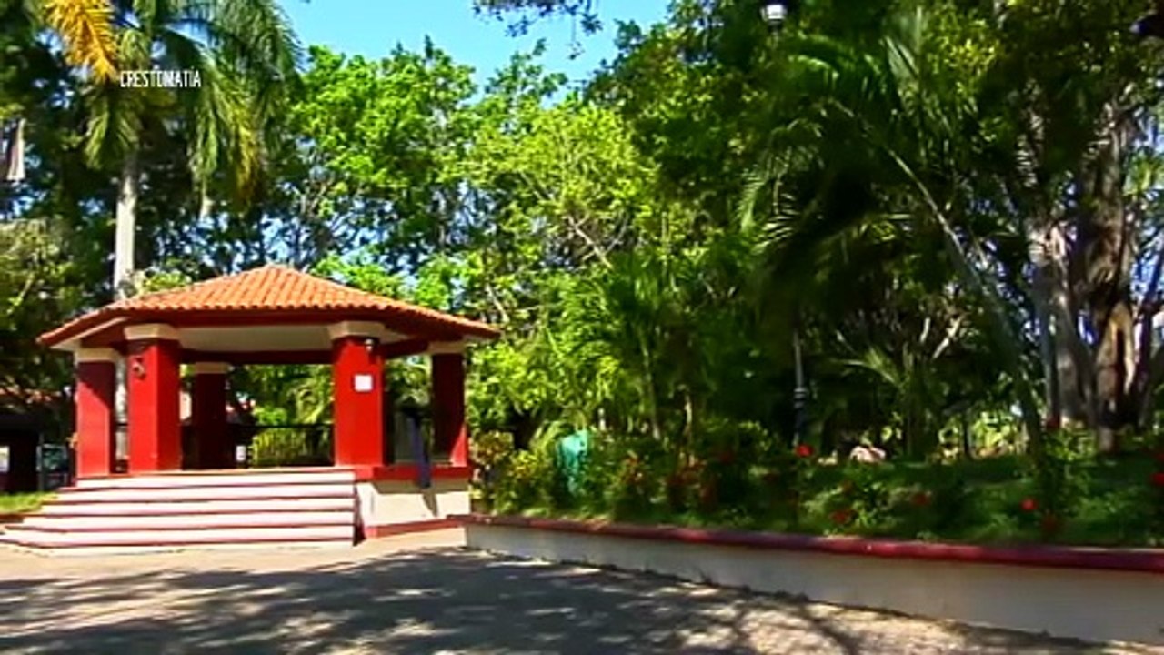 Piden hablar bien de Vallarta y Riviera Nayarit tras hechos | CPS Noticias Puerto Vallarta