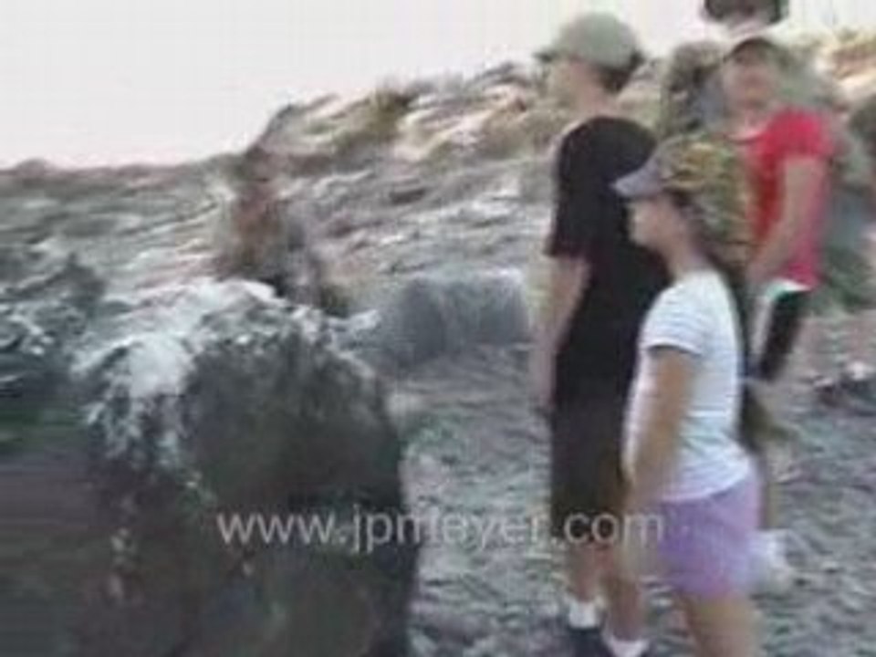 Galapagos Islands travel: Most picturesque moment