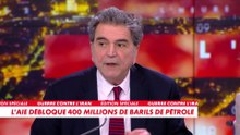 Pierre Lellouche : «On essaie d'envoyer un signal au marché de ne pas s'énerver sur les prix»
