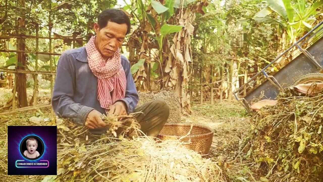 👉 Laos: O País Mais Estranho, Barato e Misterioso da Ásia Que Ninguém Te Conta