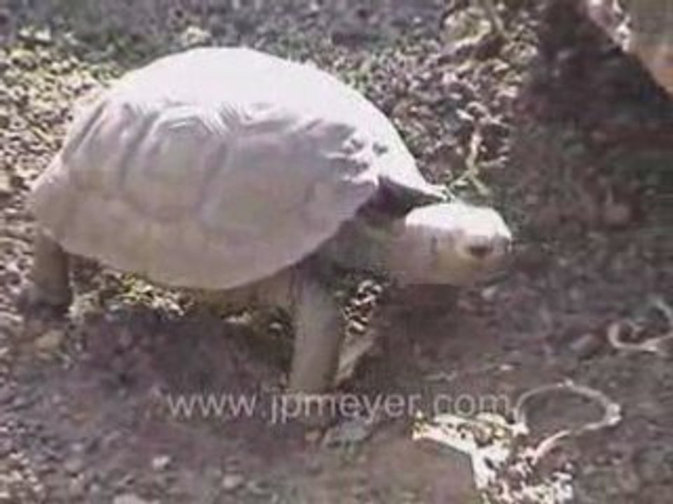 Galapagos Islands travel: Charles Darwin Research Center