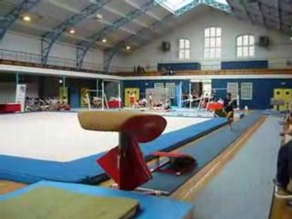 Saut Leslie