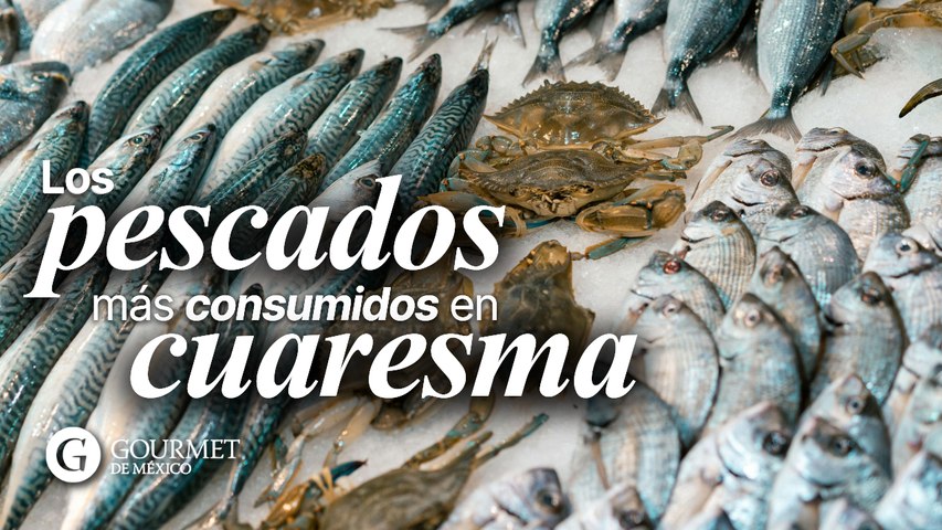 Los pescados más consumidos en cuaresma en México
