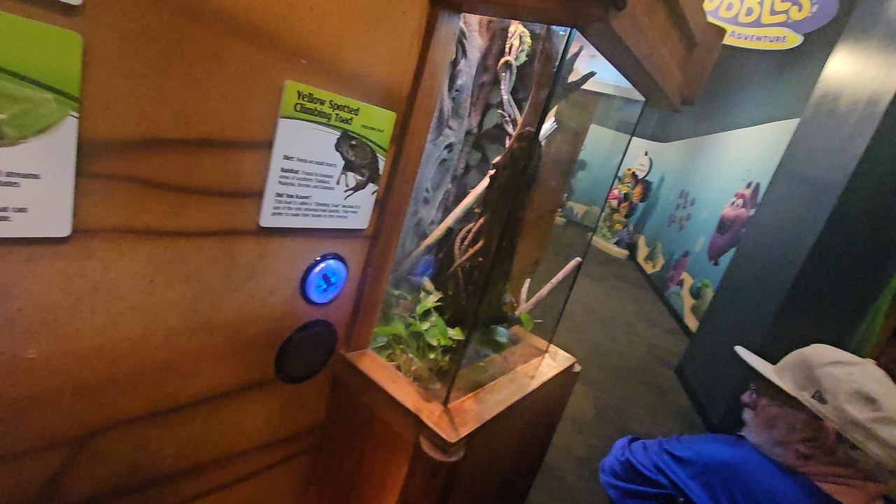 Newport Aquarium March 11, 2026