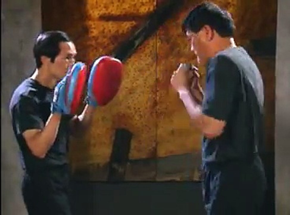 Bruce Lee's Fighting Method