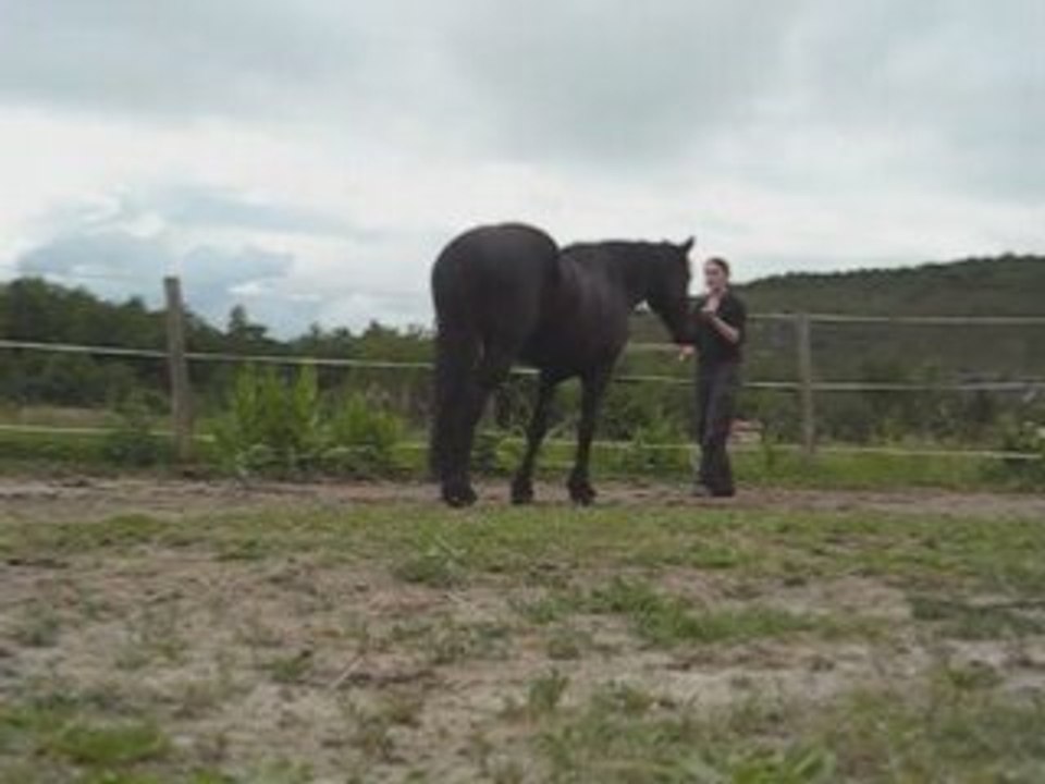 Néro travail à pied