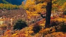 Stunning Autumn Mountain Valley Scenery