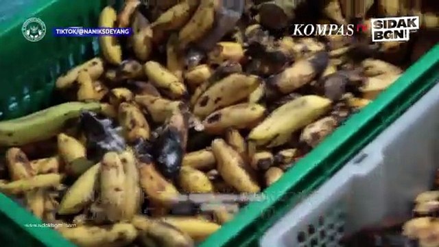Sidak Dapur MBG, Wakil Kepala BGN Temukan Makanan Busuk hingga Masak Tak Sesuai Prosedur