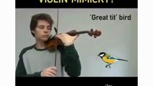 Funny Violin Mimicry