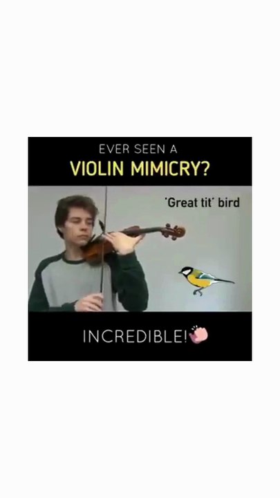 Funny Violin Mimicry